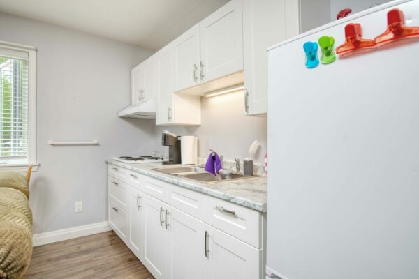 3-Apt1-kitchen