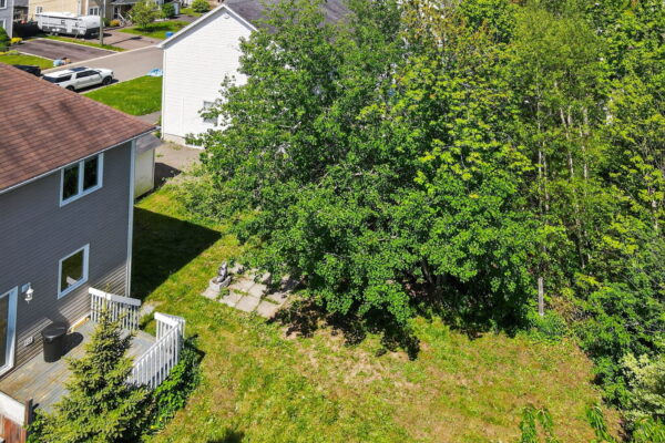 10-web-or-mls-DJI_0954