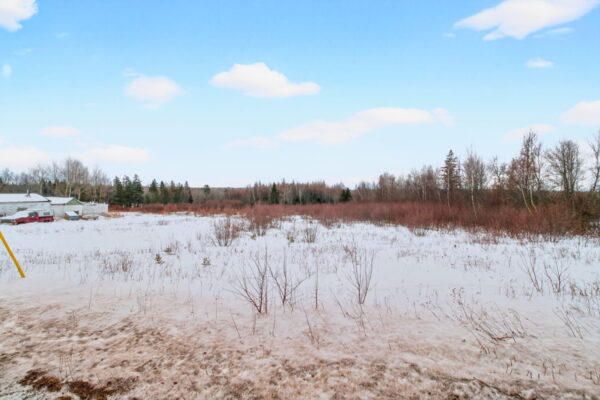 3-web-or-mls-IMG_9220