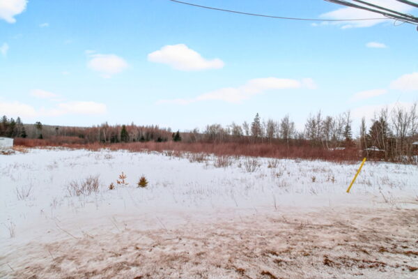 4-web-or-mls-IMG_9221