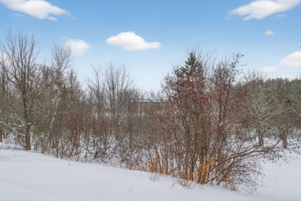 6-web-or-mls-IMG_8357