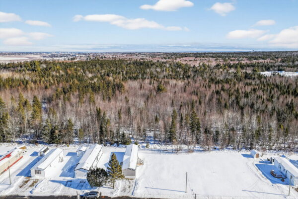 7-web-or-mls-DJI_20260203120501_0007_D