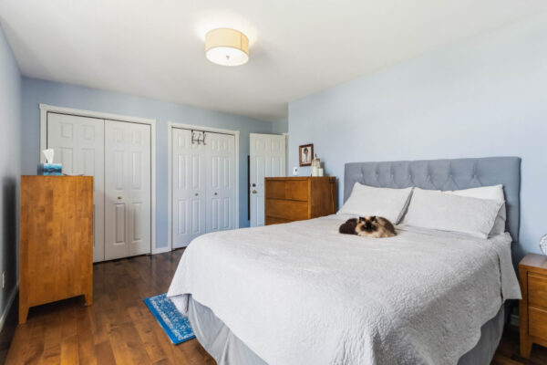 019