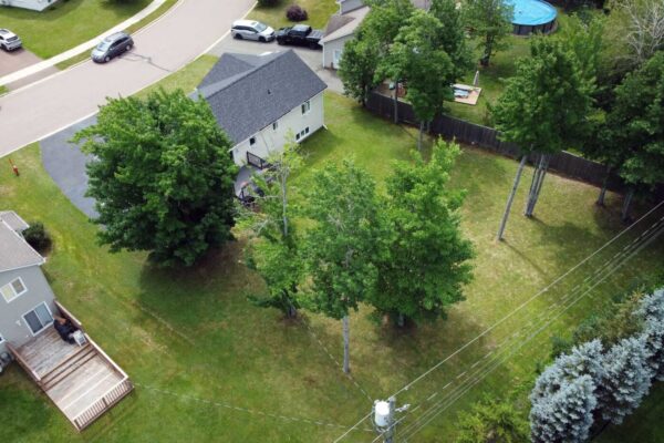 DJI_0004